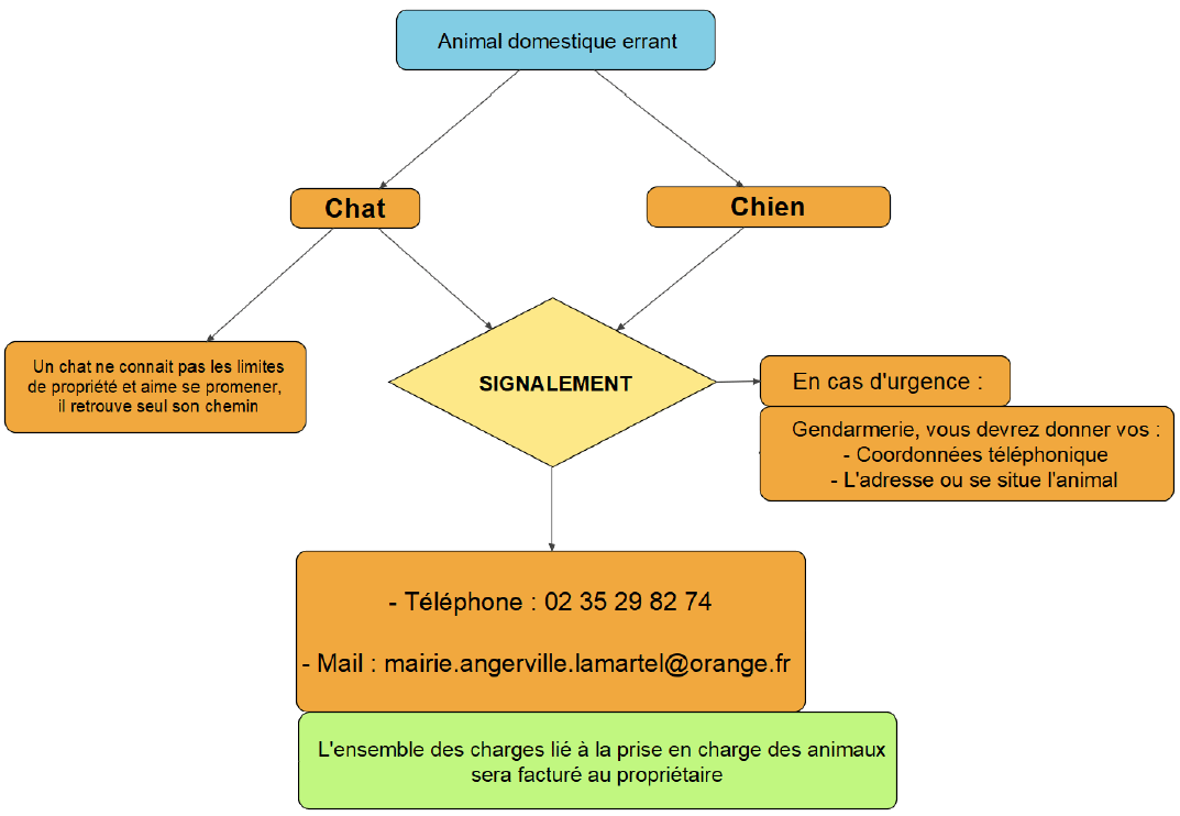 animaux errants2